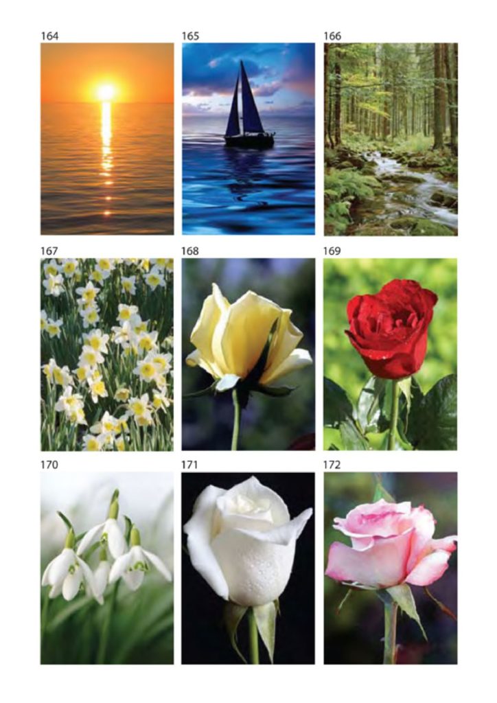 Memorial-Cards-Collection-Preview-zoom-10.jpg